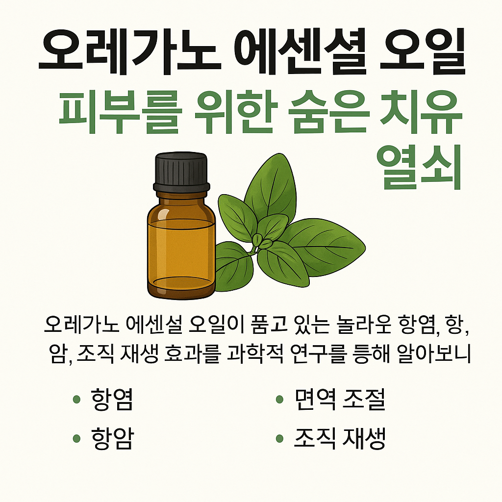 피부를 위한 숨은 치유 열쇠 오레가노잎과 에센셜오일