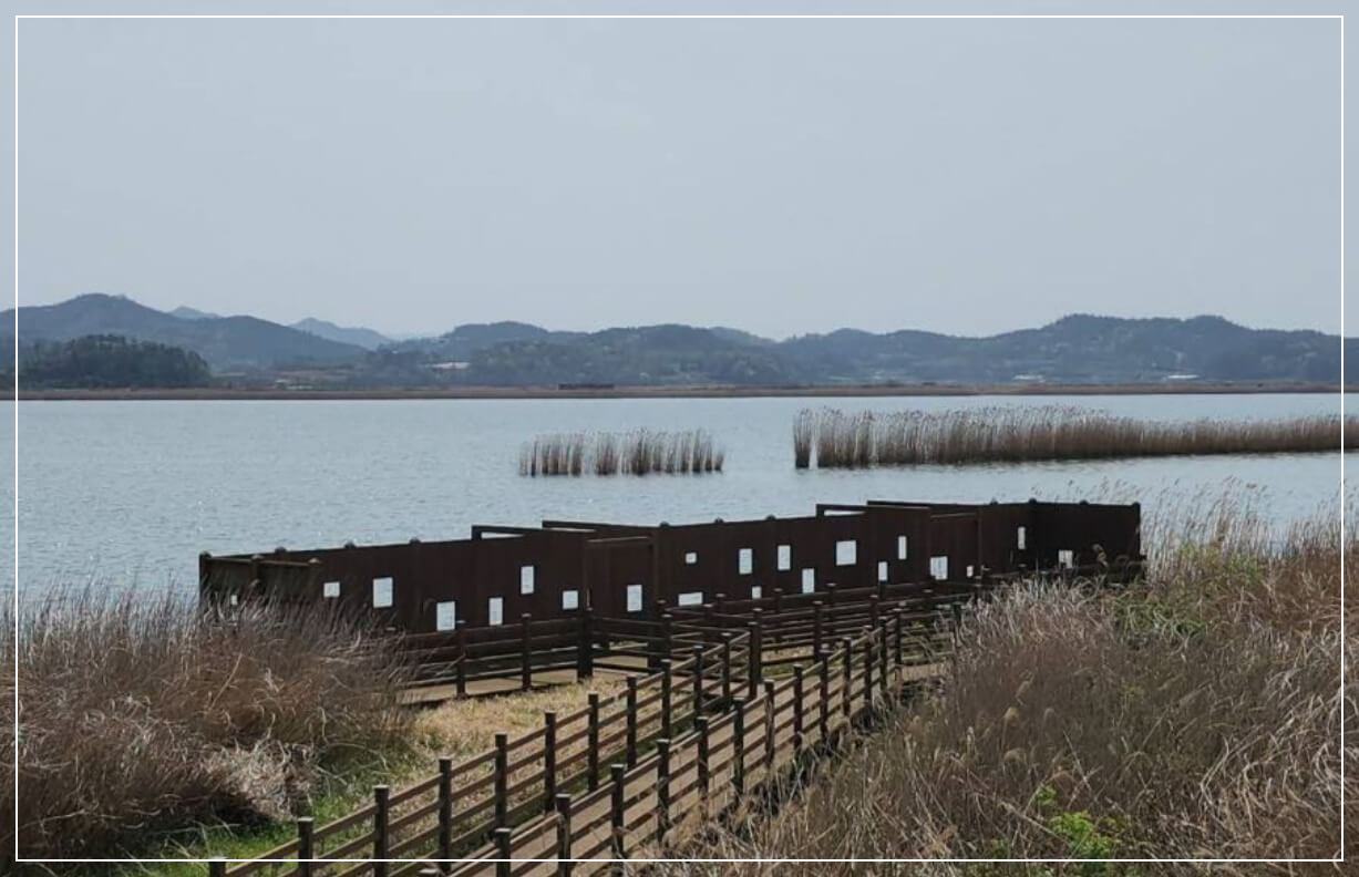 해남 가볼만한곳 베스트10 고천암 갈대밭