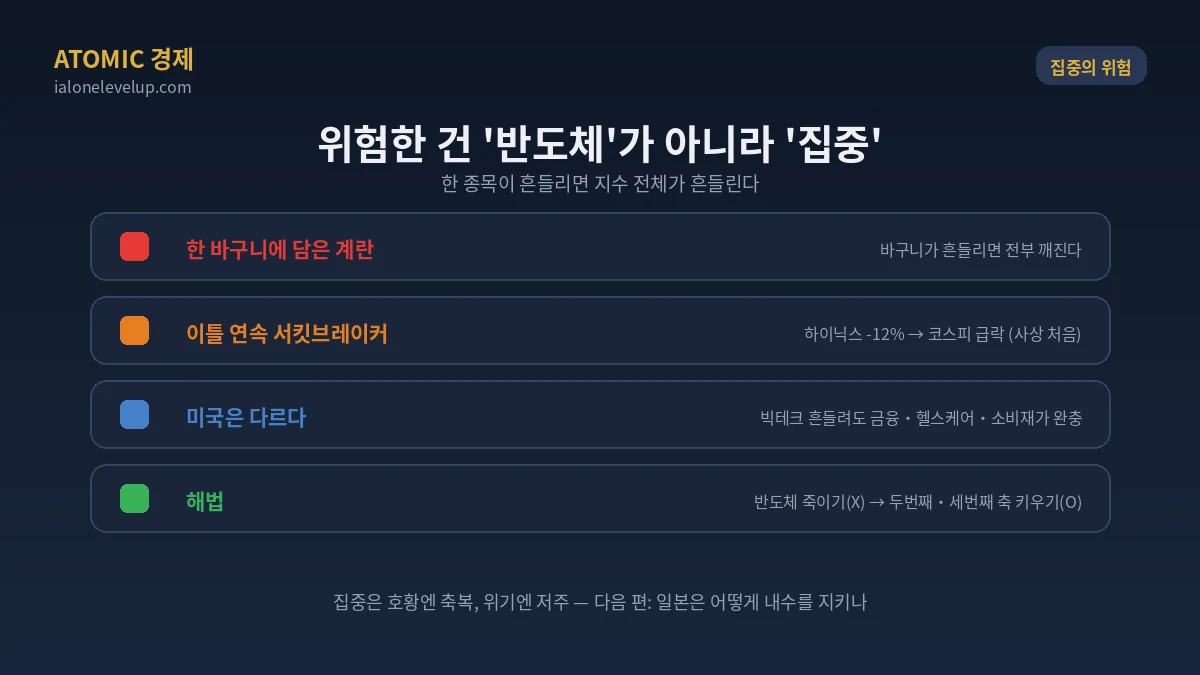 한 종목 흔들리면 지수 전체 흔들림 이틀 연속 서킷브레이커 반도체 집중 구조 위험 두번째 세번째 산업 축 필요
