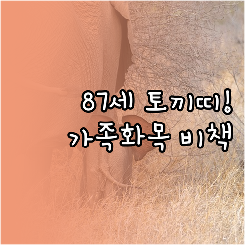 1939년생 토끼띠 2026년 3월 ..