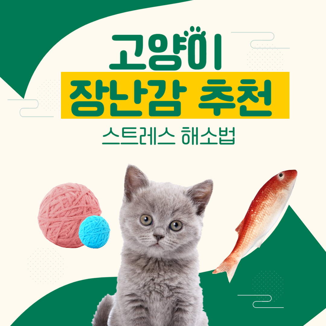 고양이 장난감 추천