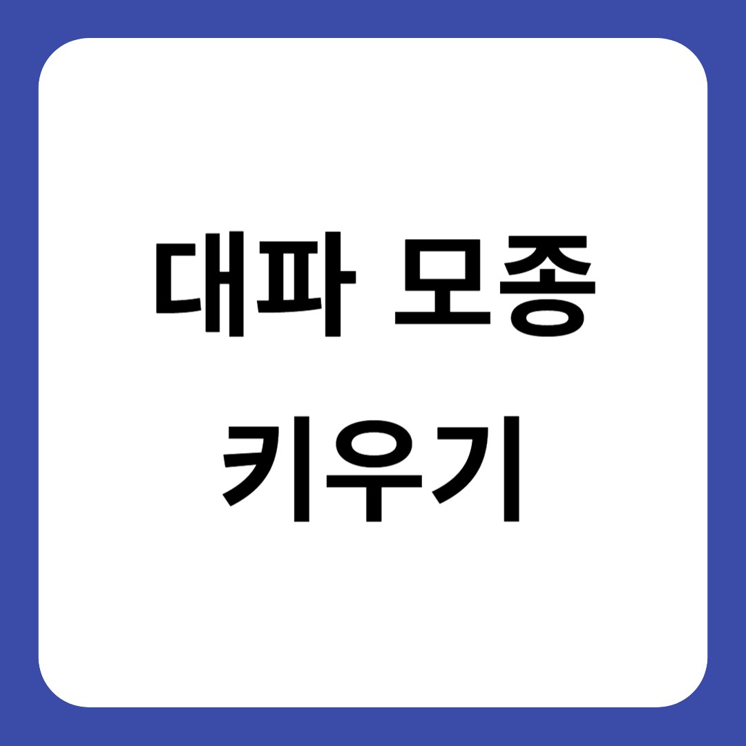 대파 모종 키우기