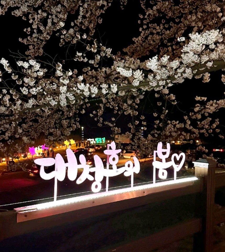 대청호의 봄 조형물과 벚꽃 사진