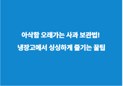 아삭함 오래가는 사과 보관법! 냉장고에서 싱싱하게 즐기는 꿀팁