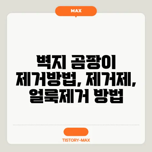 벽지 곰팡이 제거방법, 제거제, 얼룩제거 방법