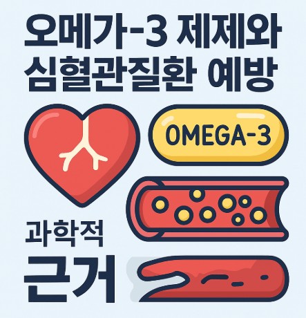 오메가-3 제제와 심혈관질환 예방의 과학적 근거 사진
