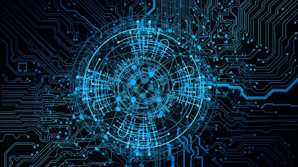 직관·패턴·경험