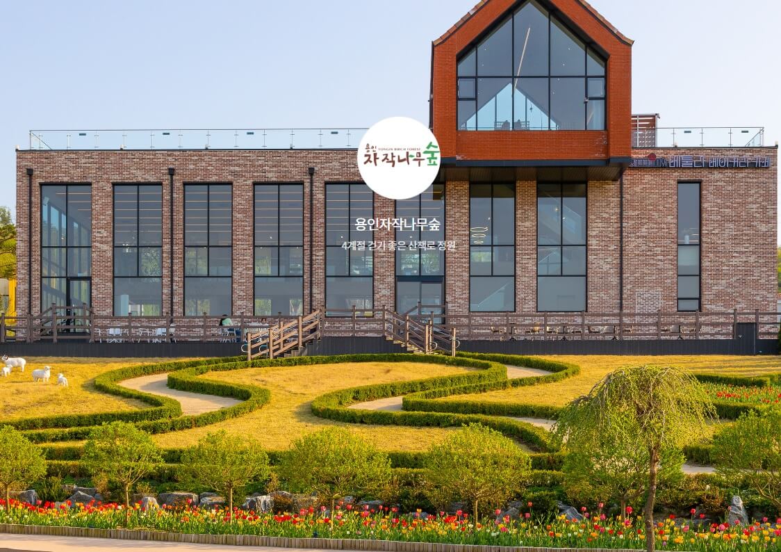 생생정보 택시맛객 용인여행 용인자작나무숲 봄꽃축제 실내스카이다이빙체험 족발맛집 평원집