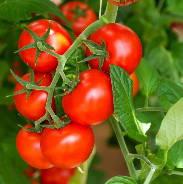 뇌졸중 전조증상과 예방법