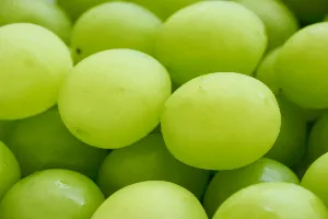 포도