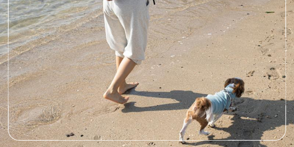 맨발 걷기운동 효과1