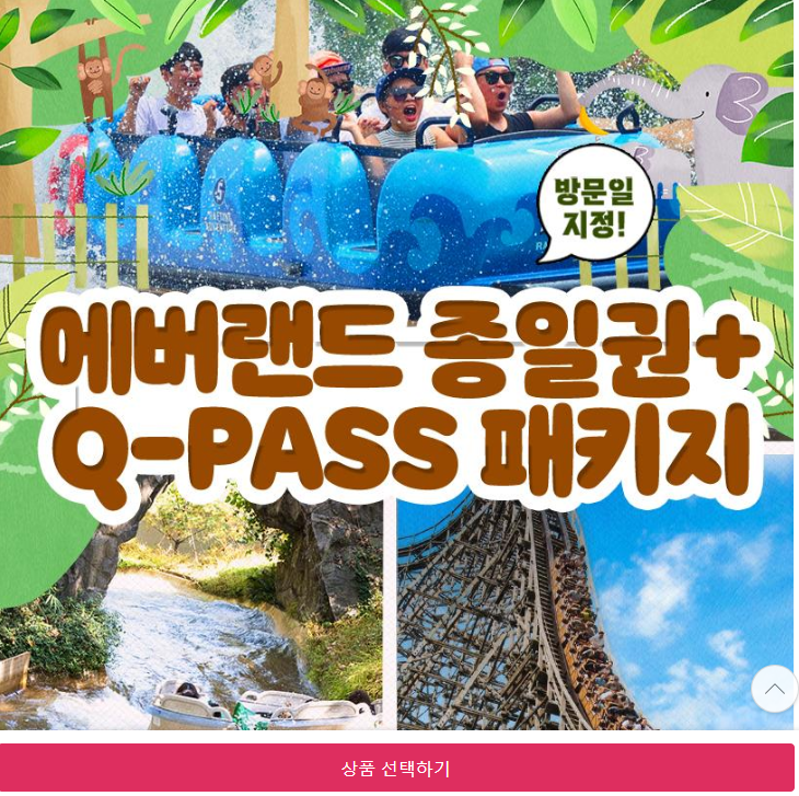 에버랜드 큐패스 에버랜드 Q패스 야놀자