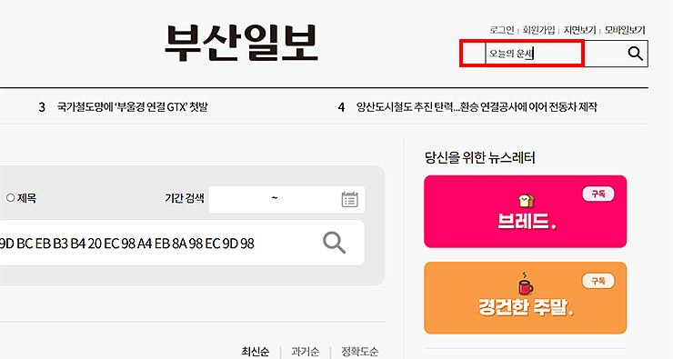 부산일보-홈페이지-메인-및-검색-창-검색-화면