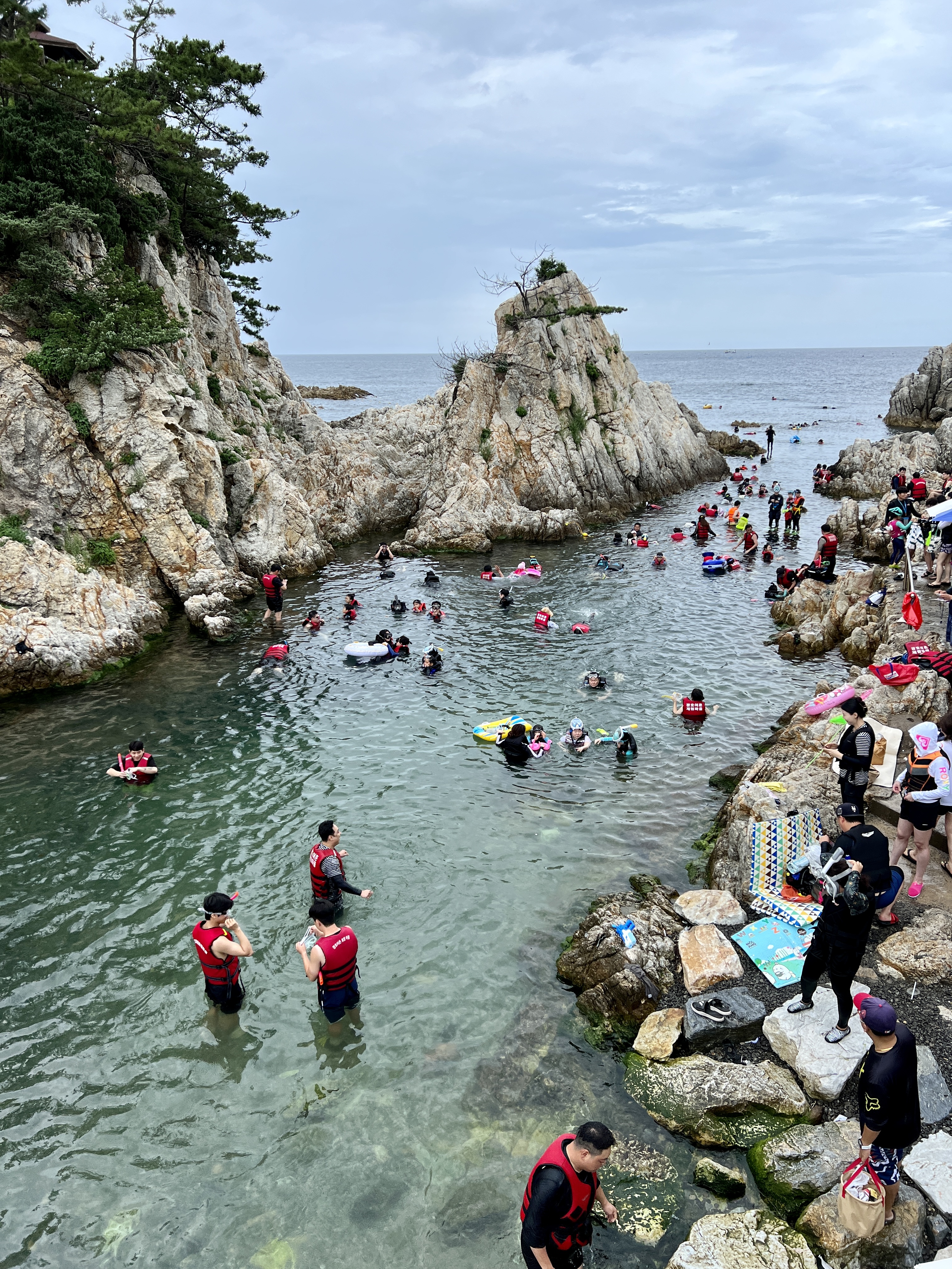 장호항 스노클링