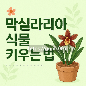 막실라리아관리법