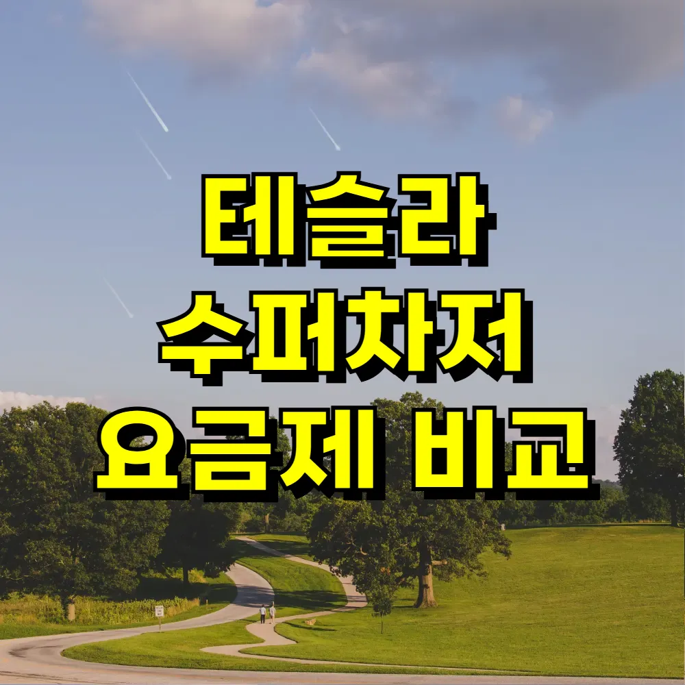 테슬라 수퍼차저 요금제 비교