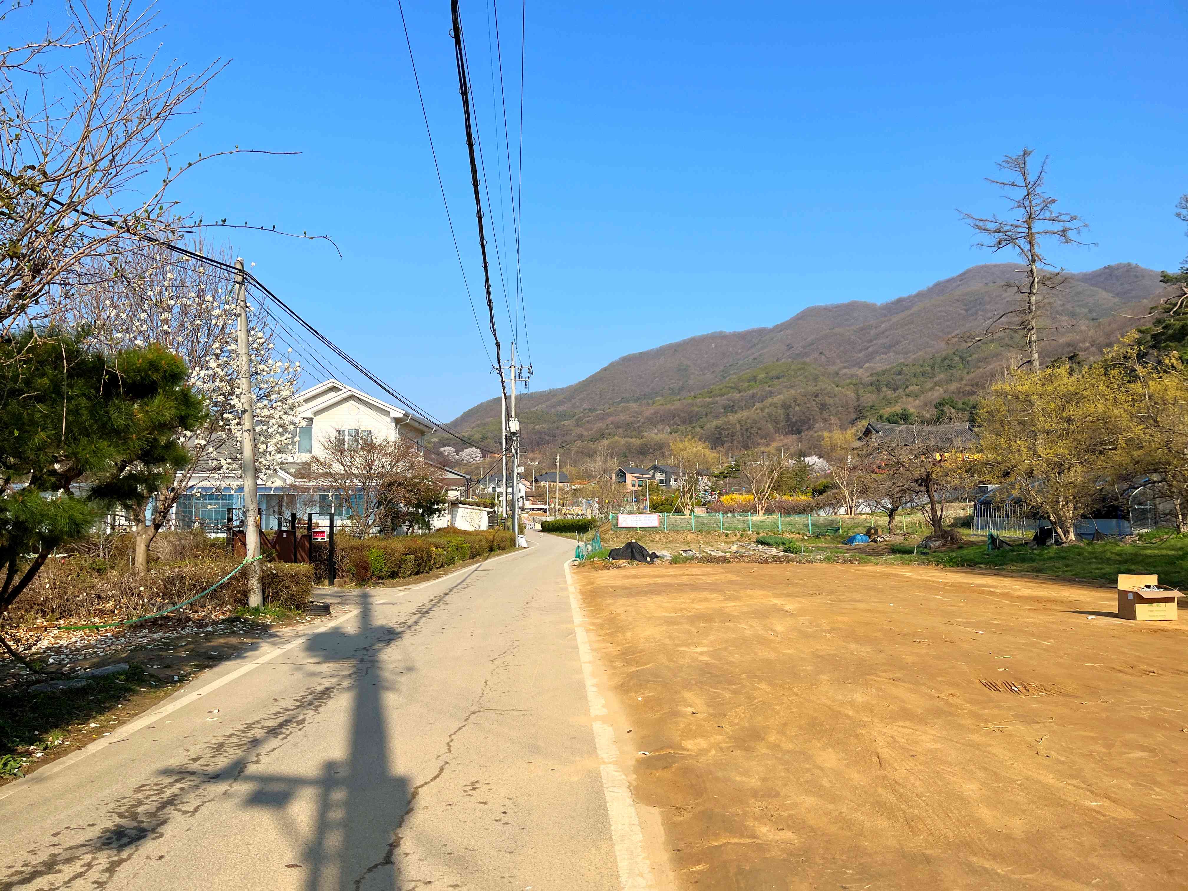 이천 산수유마을