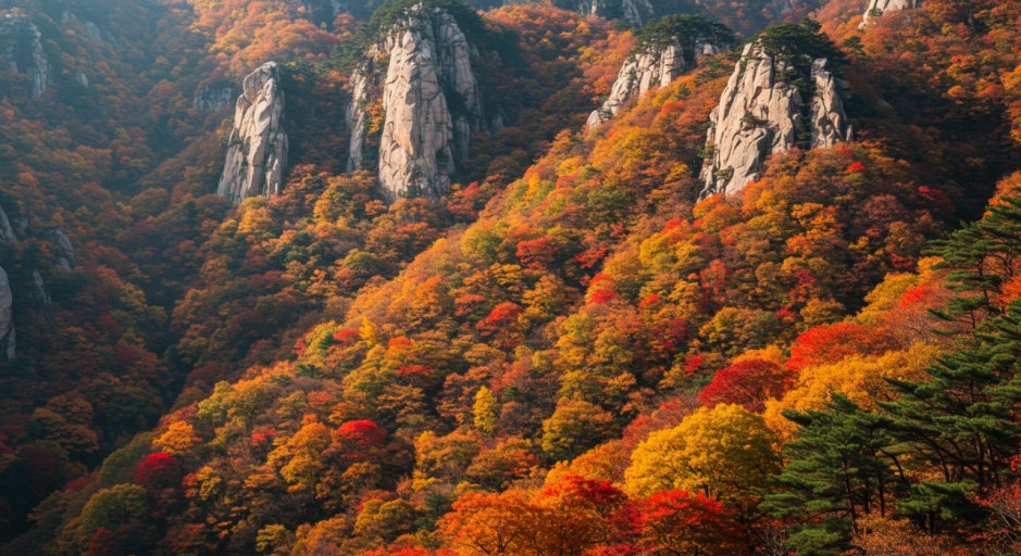 2025년 단풍 절정 시기 가이드, 여행 전 꼭 알아야 할 날짜와 명소 관련 사진