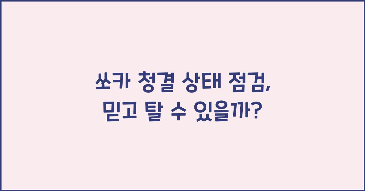 쏘카 청결 상태