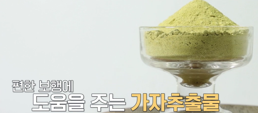 가자추출물 효능