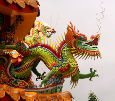 용띠 2025년 운세