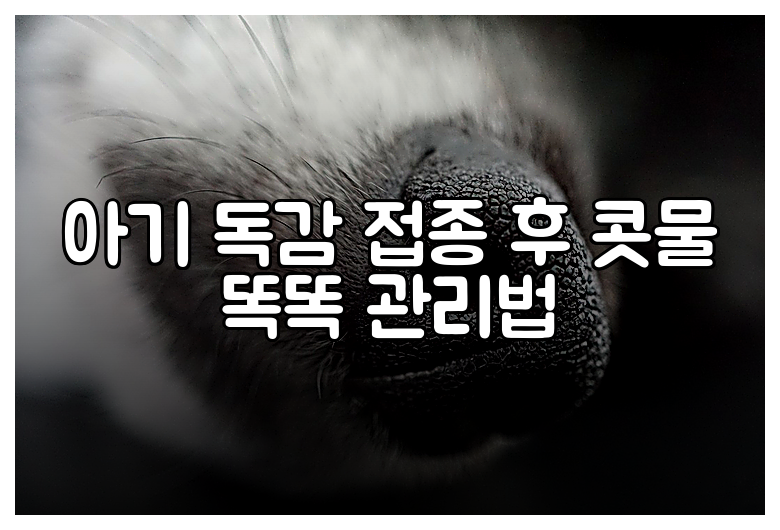 아기 독감 접종 후 콧물 똑똑 관리법