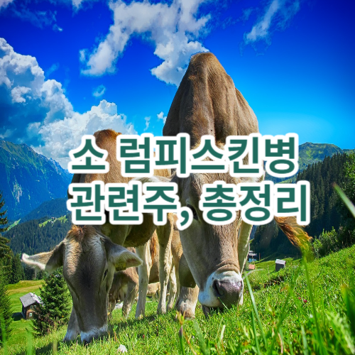 소 럼피스킨병