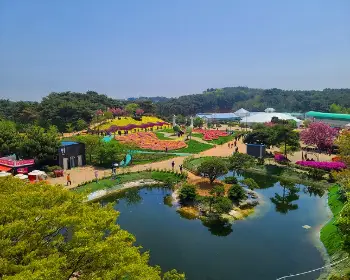 태안 튤립축제_10