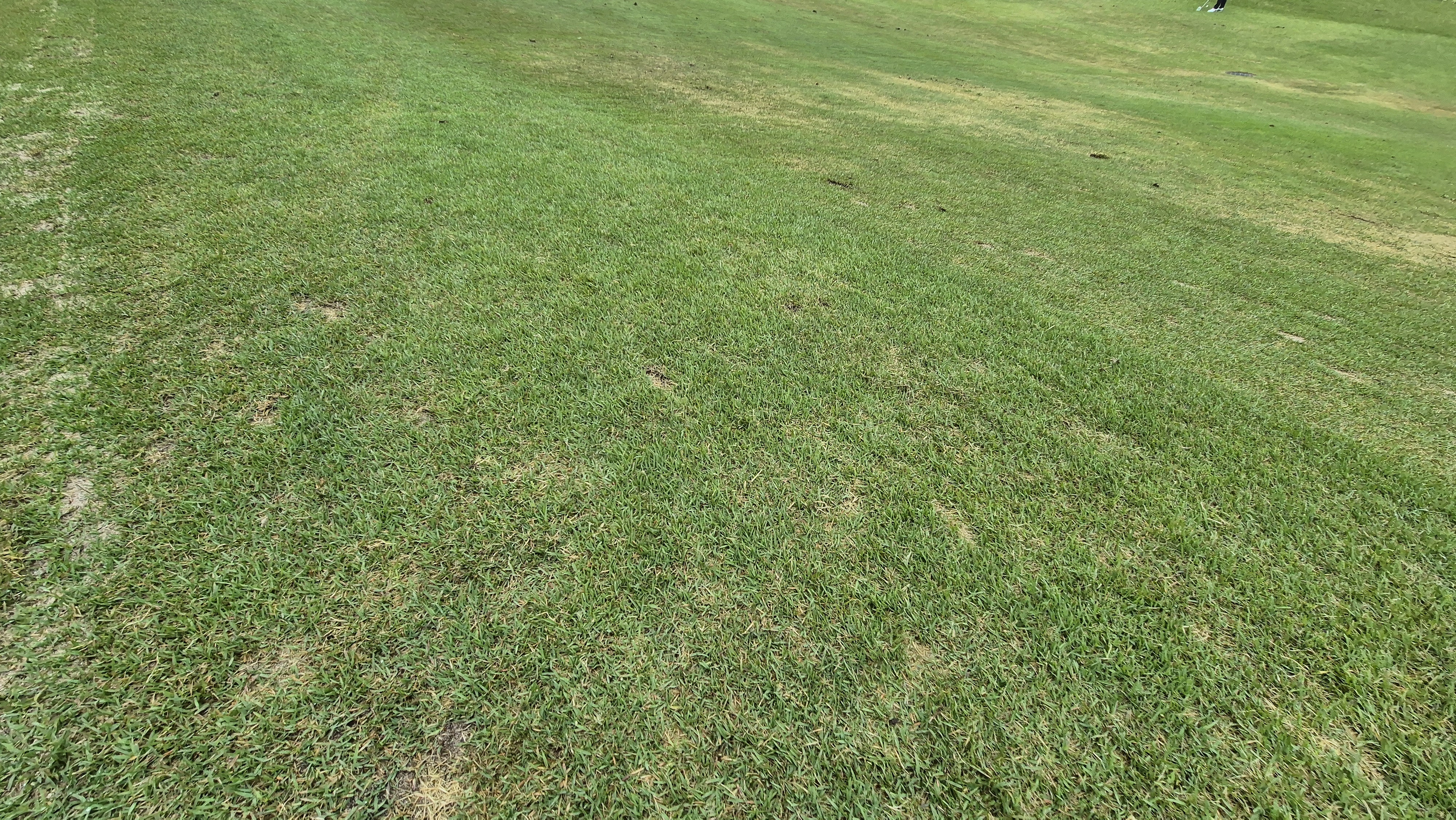 엘리시안 강촌cc 라운드 후기