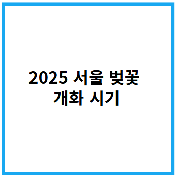 2025년 서울 벚꽃 개화 시기