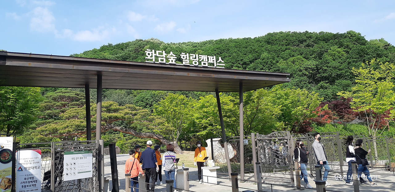 🌿 용인&middot;광주 여행코스 함께 돌기｜화담숲 + 주변 핫플
