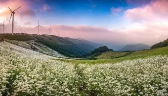 평창 가볼만한곳 베스트10 대관령 양떼목장 허브나라 드라이브_8