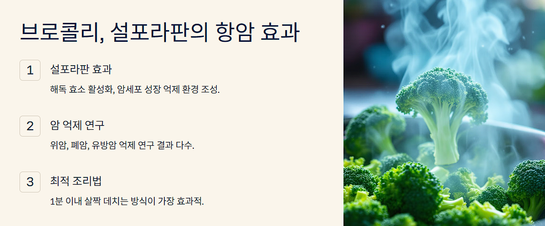 브로콜리, 설포라판의 항암 효과