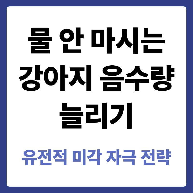 반려견의 물 수용체와 아미노산 미각을 자극하여 자발적인 음수량을 늘리고 신장 건강을 지키는 과학적 방법을 설명하는 안내 이미지