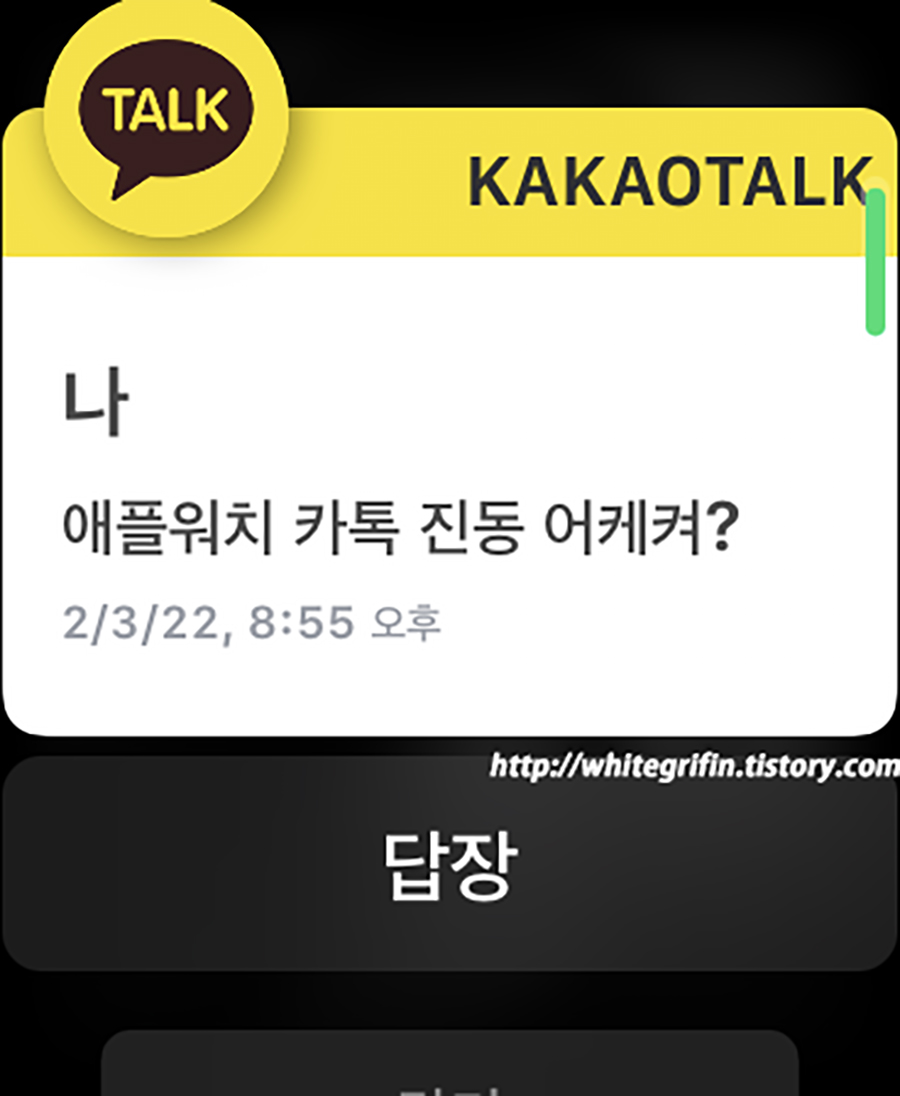 애플워치 카카오톡 알림 메시지 미리보기