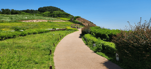 간암 9.12cm/당화혈색소 9.4 &rarr; 5.6 극복기 4편(10개월 만에 당화혈색소 5.6% 달성 비법)