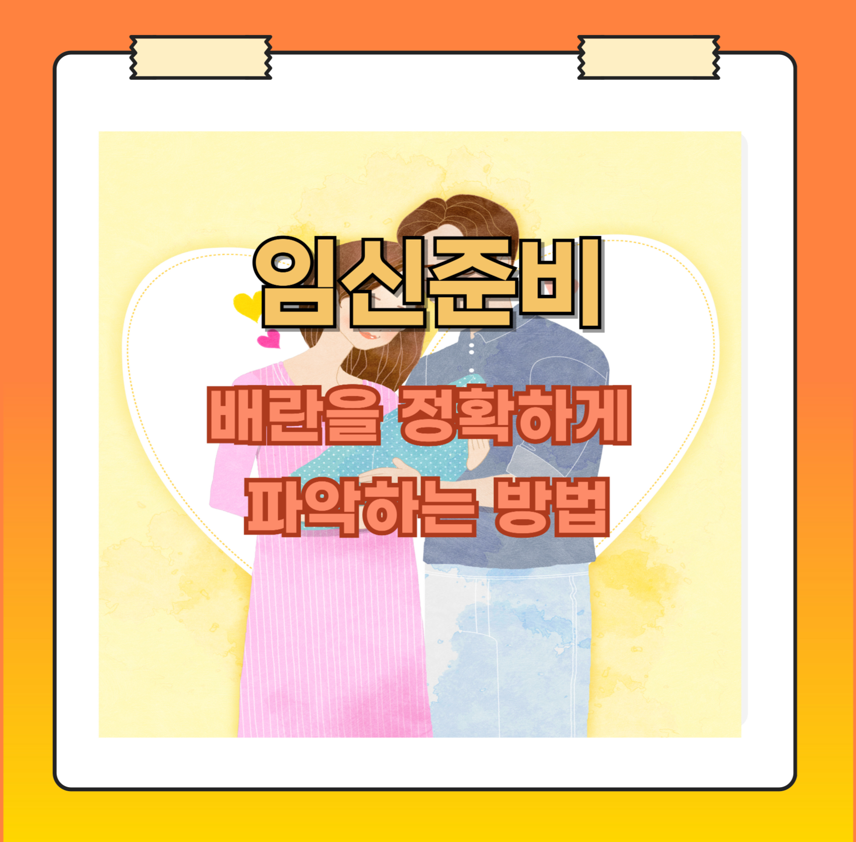 배란을 정확하게 파악하는 방법