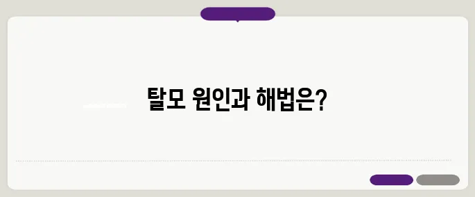 중년 여성 탈모 해결책: 원인과 치료법을 완벽히 알아보자!