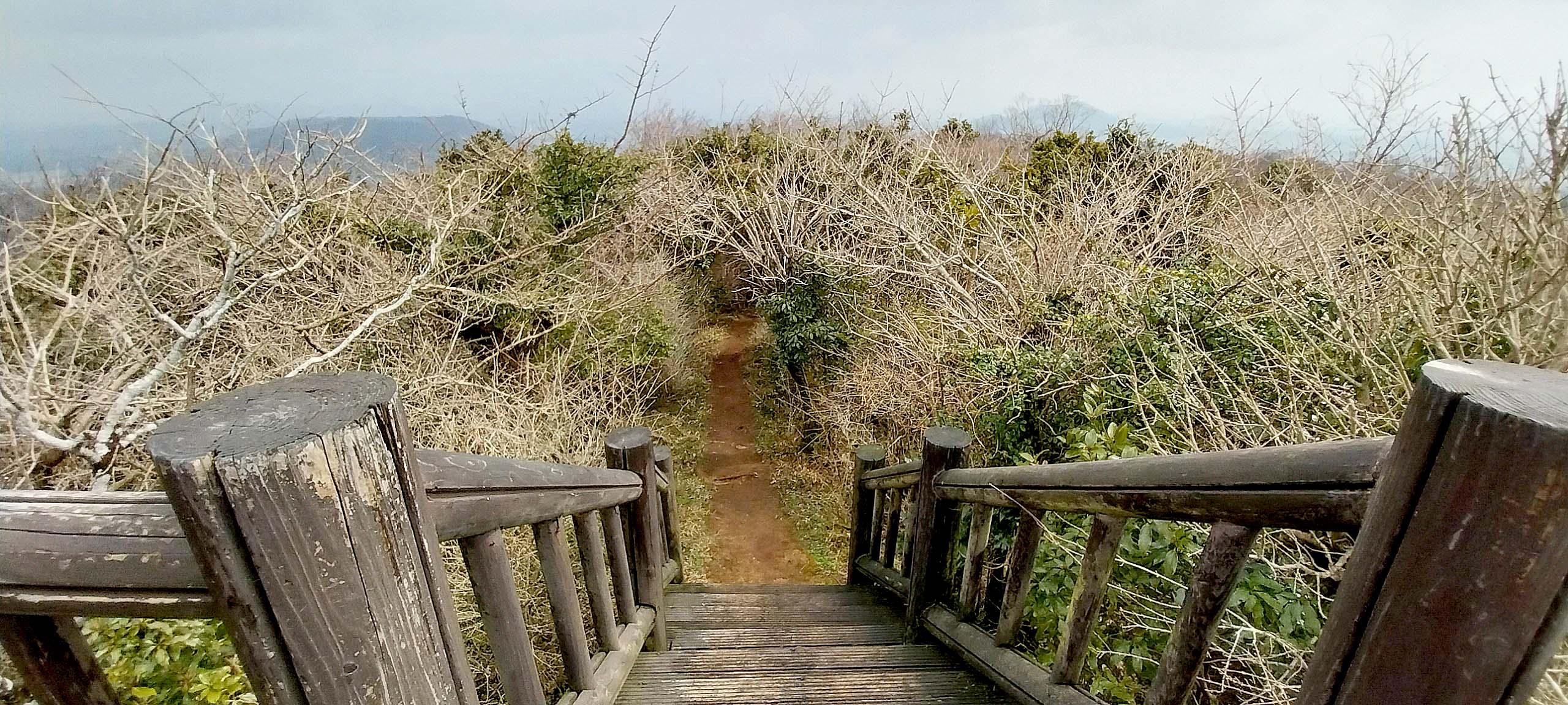 붉은오름