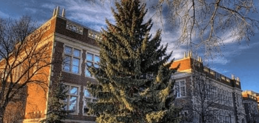 앨버타-대학교-University-of-Alberta