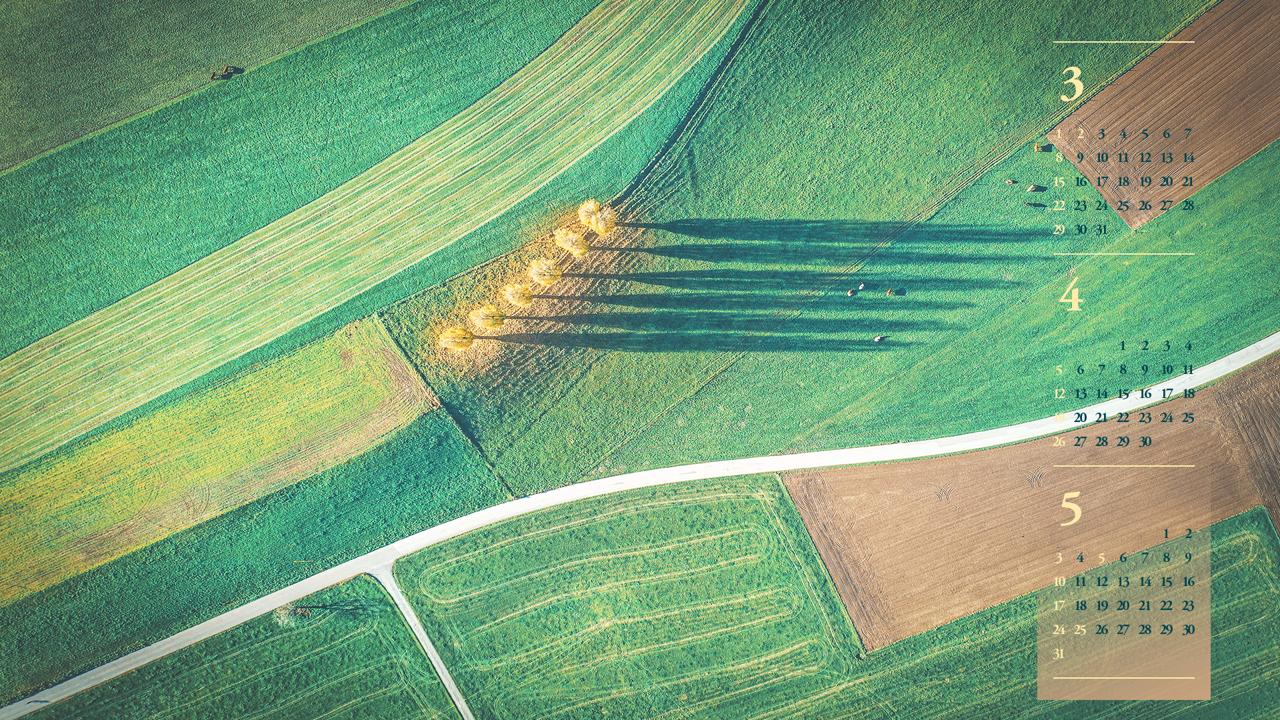 09 초록색 들판 B - 2026년4월 달력배경화면