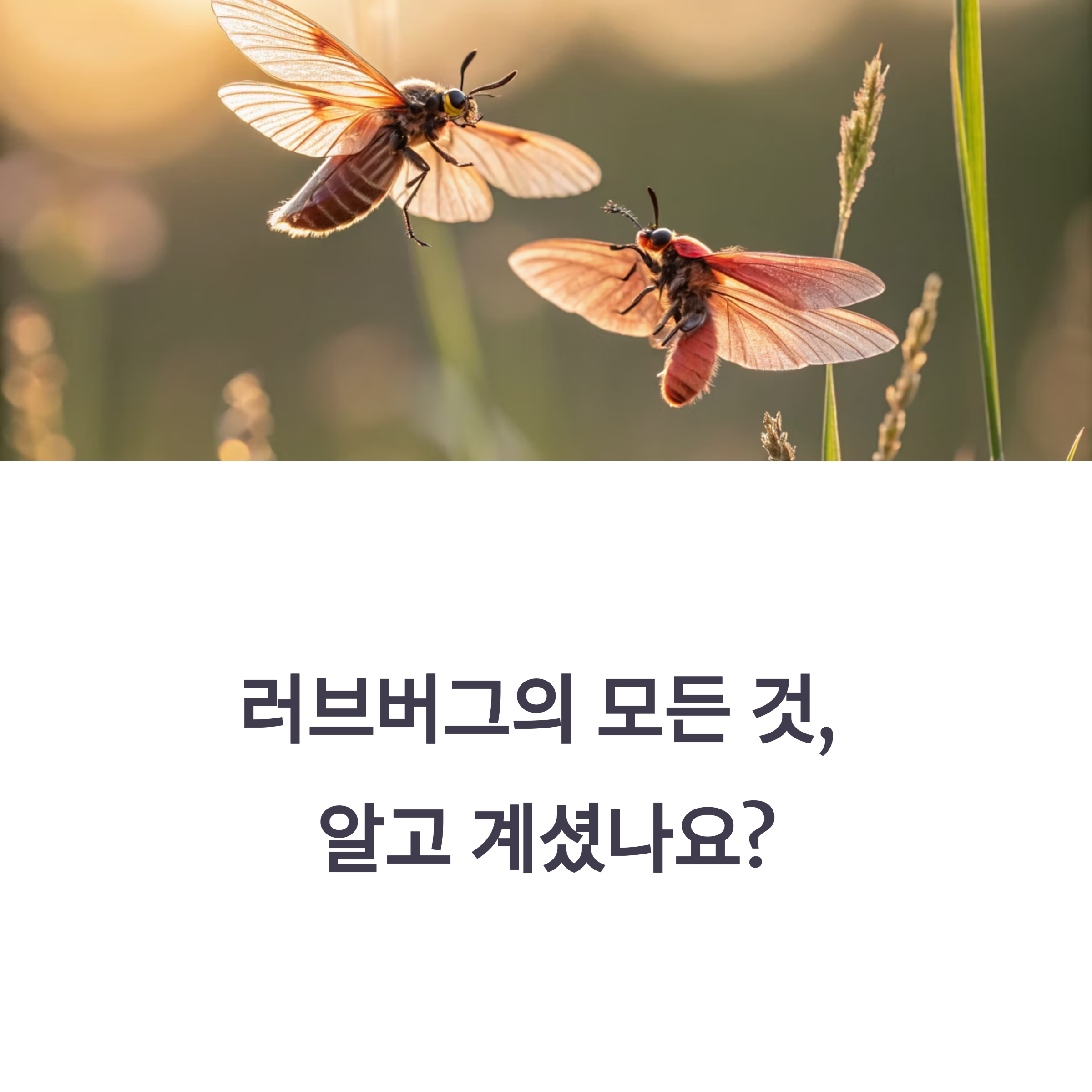러브버그, 현명하게 대처하는 방법