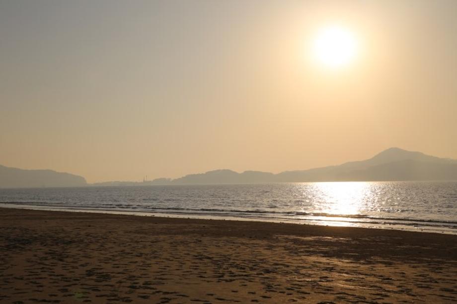 충남 태안 – 신두리 해안사구 + 해변 놀이터