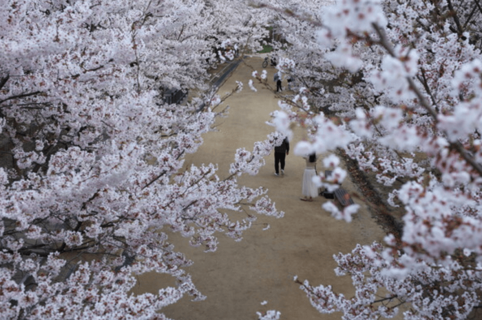 서울숲