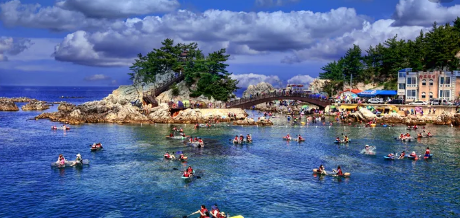 장호항 관련 홍보 사진