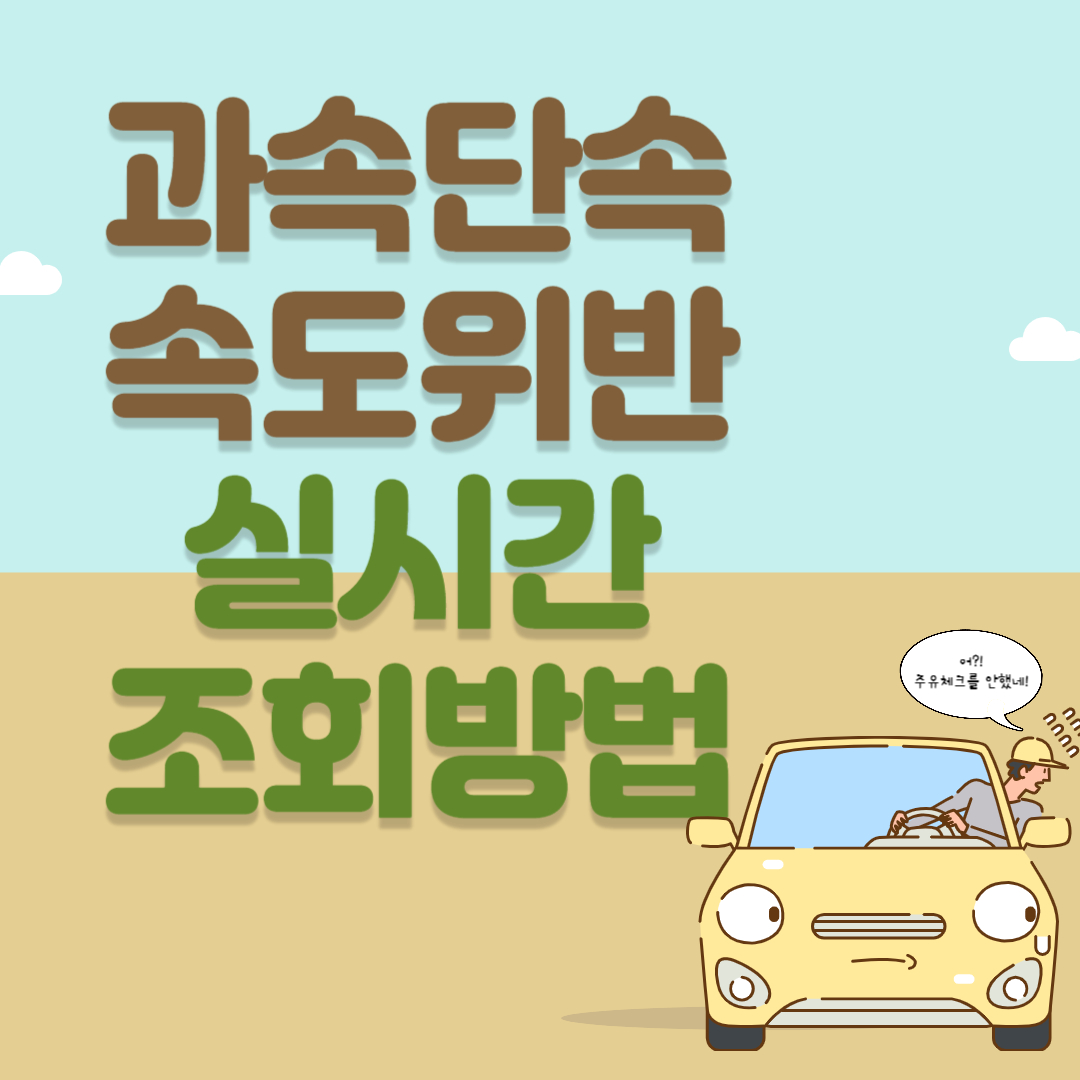 과속단속조회