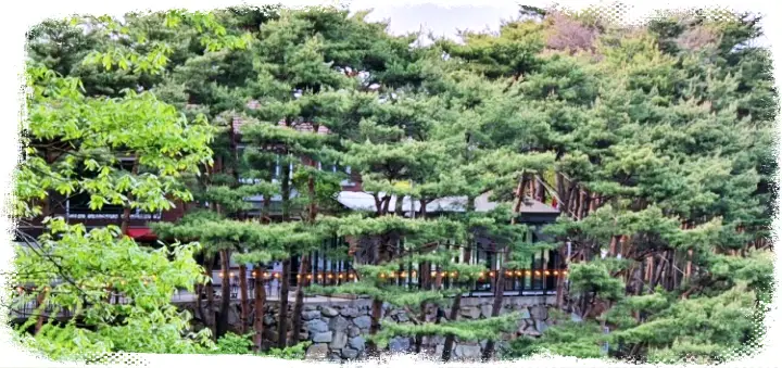생방송오늘저녁 [꽂지 해수욕장 레저 고카트 체험, 숲속 캠핑장 해미읍성 수덕사 근처 카페 서산 태안 안면도 여행 정보]