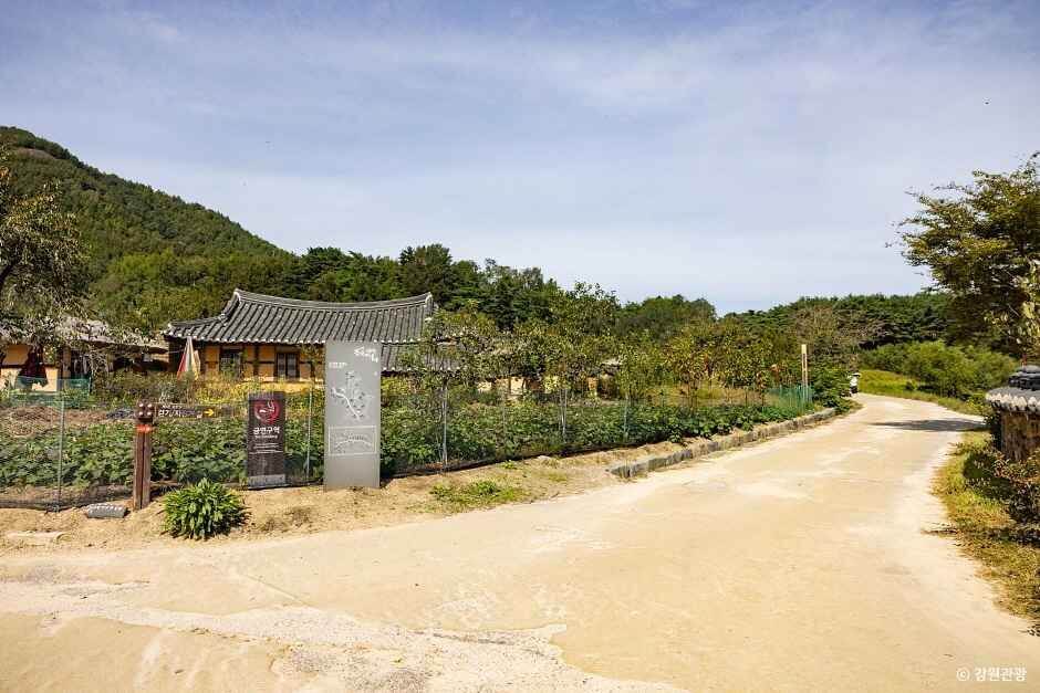 고성 가볼만한곳 베스트 10