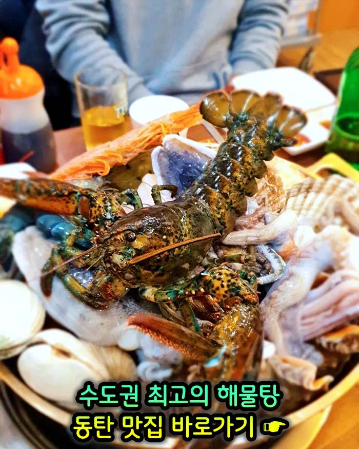 생방송 투데이 동탄 센트럴파크 수도권 최고의 해물탕 맛집