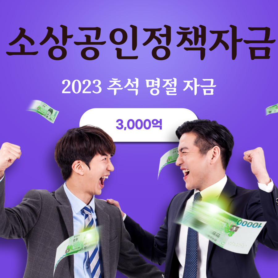 소상공인정책자금